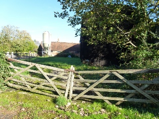 Farm gate in Dorton.