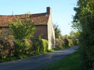 A country road in Ludgershall.